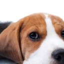 สมาชิกหมายเลข 758108