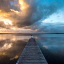 นายใบไม้