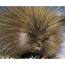 สมาชิกหมายเลข 3212472