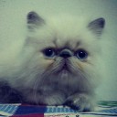 สมาชิกหมายเลข 758432