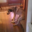 สมาชิกหมายเลข 758553