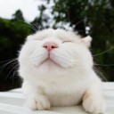 ตะวันสีหมอก