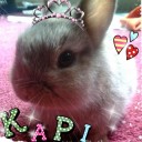 สมาชิกหมายเลข 821130