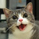 สมาชิกหมายเลข 1568135