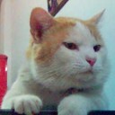 เหน่งน้อย