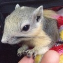 สมาชิกหมายเลข 740628