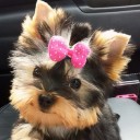 สมาชิกหมายเลข 758838