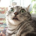 สมาชิกหมายเลข 1144203