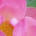 สมาชิกหมายเลข 972410