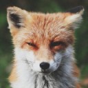 สมาชิกหมายเลข 1568633