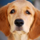 สมาชิกหมายเลข 733573