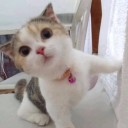 สมาชิกหมายเลข 1912361