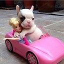 สมาชิกหมายเลข 1997993