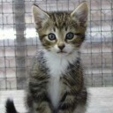 สมาชิกหมายเลข 2594876