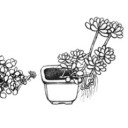 สมาชิกหมายเลข 745689