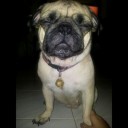 สมาชิกหมายเลข 1569020