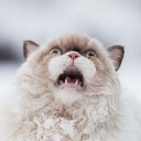 บอกแล้วใช่ไหมให้ตั้งใจเรียน