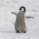 สมาชิกหมายเลข 857764