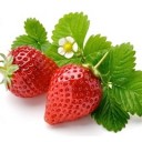 สตรอเบอรี่สีชมพู อูฮู้อร่อยจัง