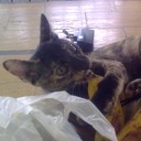 สมาชิกหมายเลข 759810