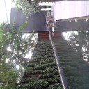 สมาชิกหมายเลข 1135591