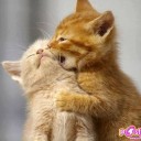 ตั้งชื่อผิดคิดจนตัวตาย