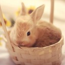 สมาชิกหมายเลข 842197