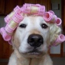 สมาชิกหมายเลข 1817109