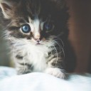 สมาชิกหมายเลข 2392191