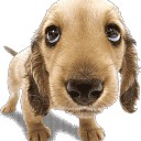 สมาชิกหมายเลข 2094883