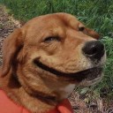 สมาชิกหมายเลข 3198436