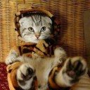 ผู้จัดการความซน