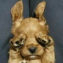 เมื่อไหร่จะได้ชื่อ