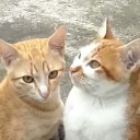 สงบจริง