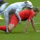 สมาชิกหมายเลข 2237887