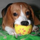 baitoey_little_monster