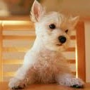 สมาชิกหมายเลข 760310