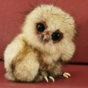 สมาชิกหมายเลข 760369