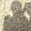 สมาชิกหมายเลข 760469