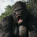 สมาชิกหมายเลข 1570202