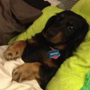 สมาชิกหมายเลข 1144561