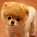 สมาชิกหมายเลข 1666725