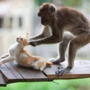 สมาชิกหมายเลข 856220