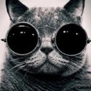 นางแมวเหมียวซ่า