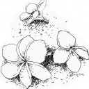 สมาชิกหมายเลข 2127693