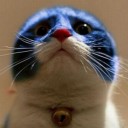 สมาชิกหมายเลข 1161267