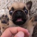 สมาชิกหมายเลข 961986