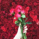 นางฟ้าชุดฟ้า