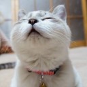 เซ็งจังคุง