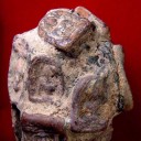 สมาชิกหมายเลข 3205831